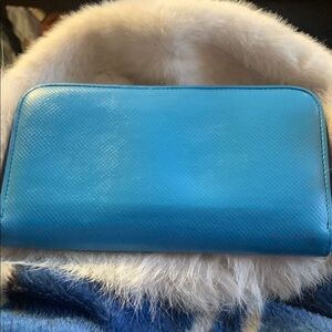 Bottega Veneta Vibrant Blue Leather Wallet with Sleek Design